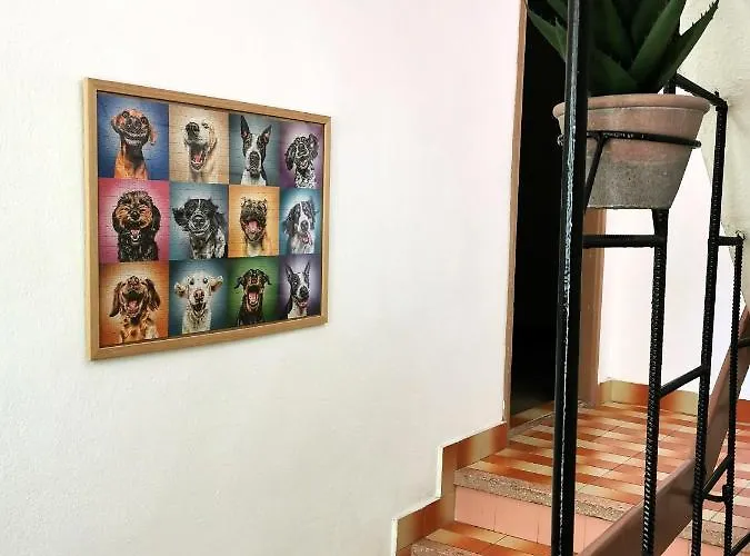 Къща за гости 