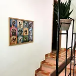 Guest house 